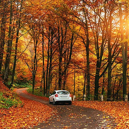 Vous roulez en voiture semi-autonome ? Bénéficiez de 15% de réduction !